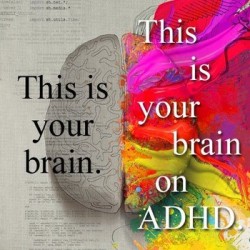Adult-ADHD-vidya-sury-3